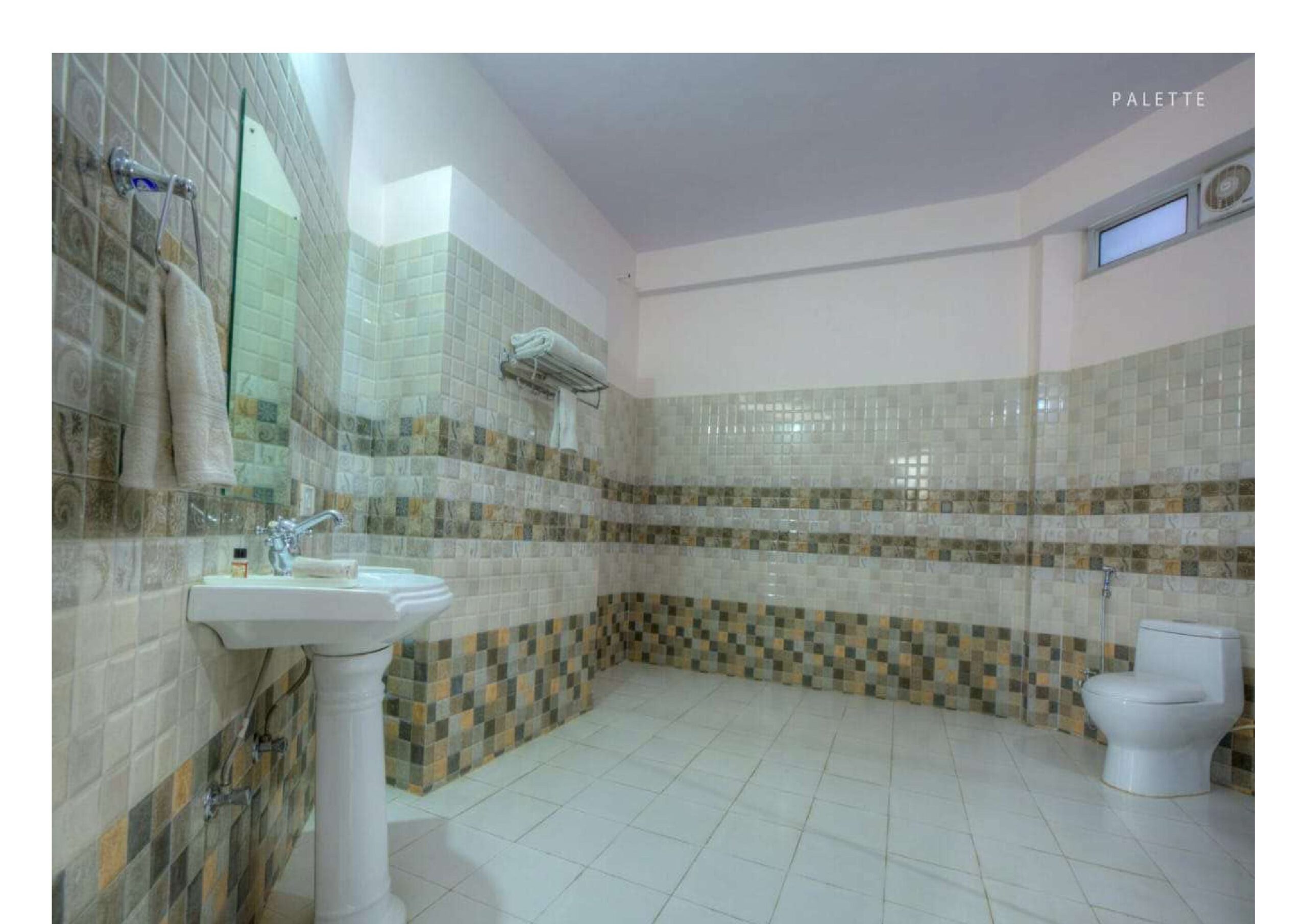 Bagh Villa-images-15