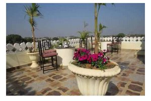 Images (39)-images-12